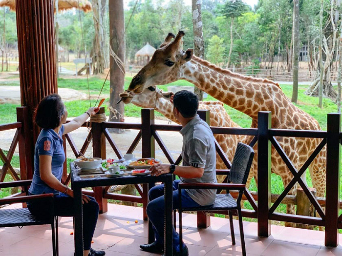 Vị trí độc đáo của nhà hàng Giraffe Safari Phú Quốc